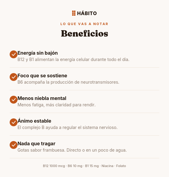 Fórmula B | Energía y Enfoque | 60 ml