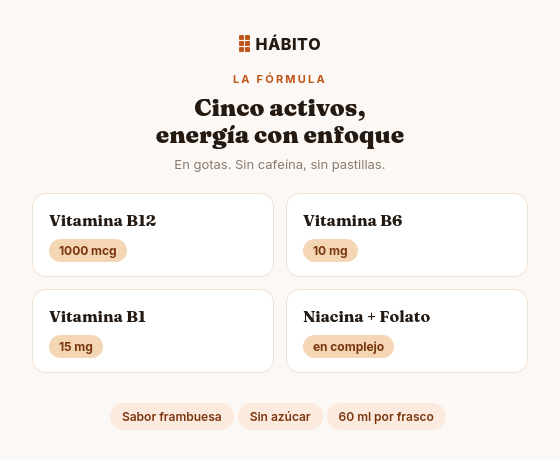 Fórmula B | Energía y Enfoque | 60 ml