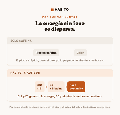 Fórmula B | Energía y Enfoque | 60 ml