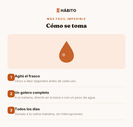 Fórmula B | Energía y Enfoque | 60 ml