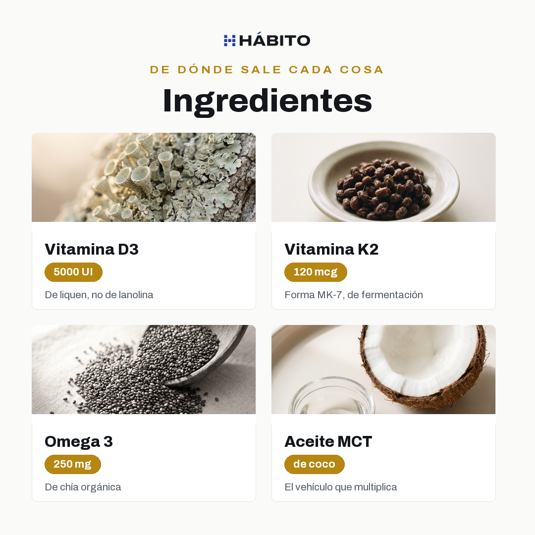 Ingredientes: liquen, fermentación, chía orgánica y coco