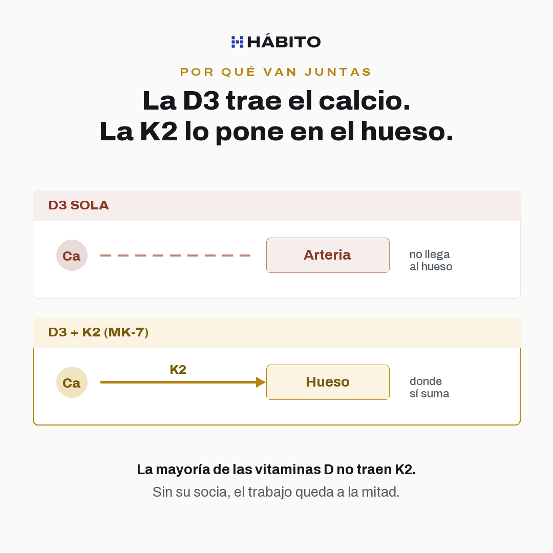 La D3 trae el calcio y la K2 lo deposita en el hueso