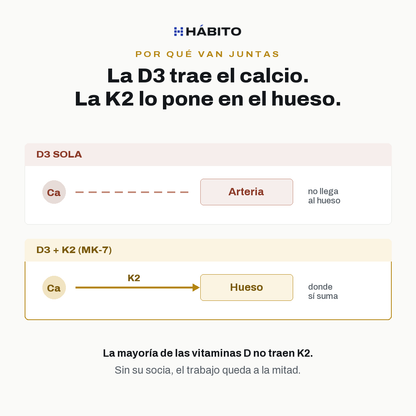 La D3 trae el calcio y la K2 lo deposita en el hueso